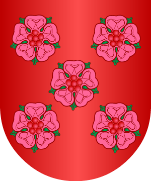 ESCUDO ALEATORIO
